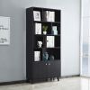 Bookcase, Bookshelf with Doors, Black--[Old sku:AM180710-B]