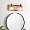 2-Light Black Vanity Light with Seeded Glass Shades