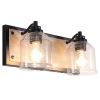 2-Light Black Vanity Light with Seeded Glass Shades