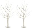 2FT 24LT Pre-lit White Birch Tree Lights with Timer Decorative Light Tabletop Tree-Set of 2