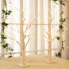 2FT 24LT Pre-lit White Birch Tree Lights with Timer Decorative Light Tabletop Tree-Set of 2